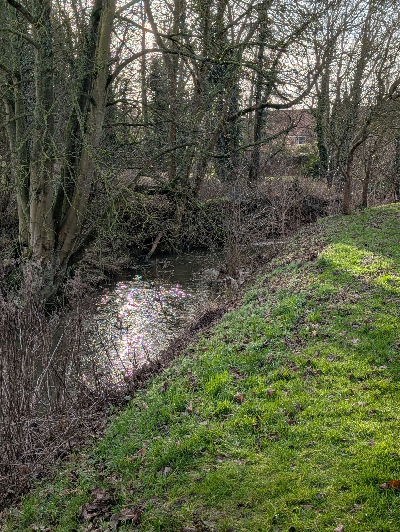 2026-01-31 21 Suffolk Area AGM.jpg