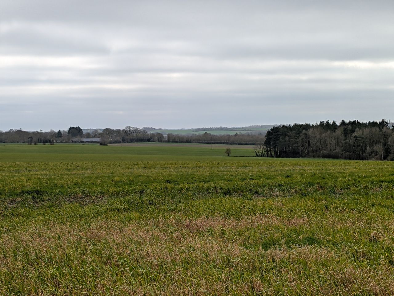 2026-03-17 12 Haverhill and Kedington.jpg