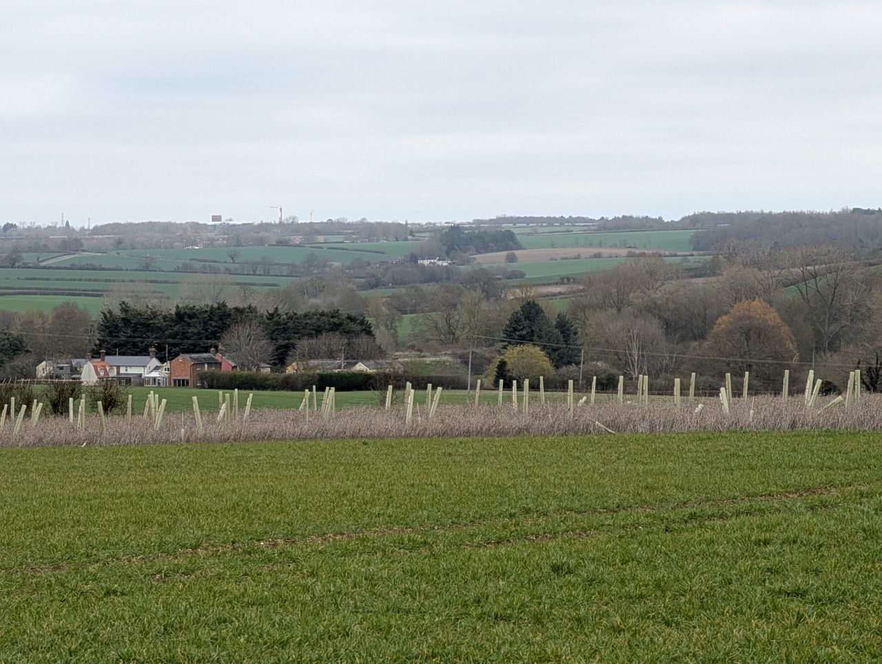 2026-03-17 18 Haverhill and Kedington.jpg