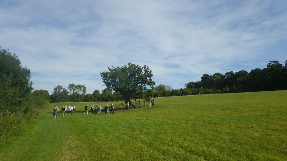 2016-09-28 01 Huntingfield Area.jpg