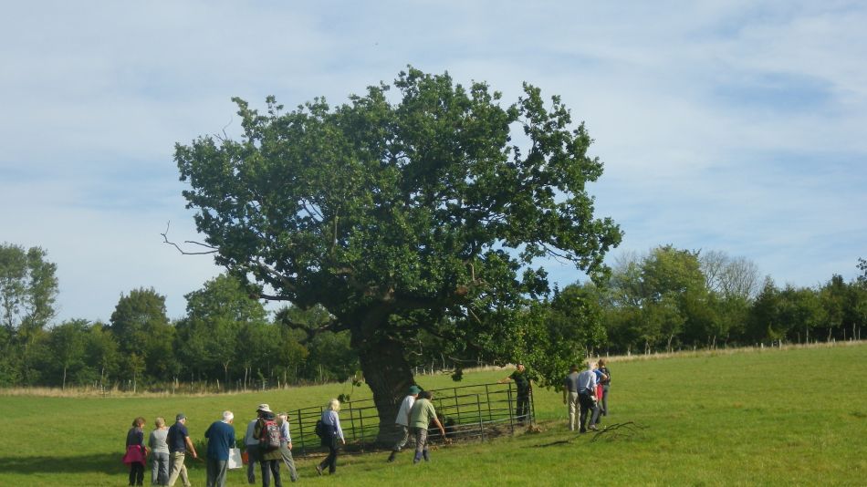 2016-09-28 02 Huntingfield Area.jpg