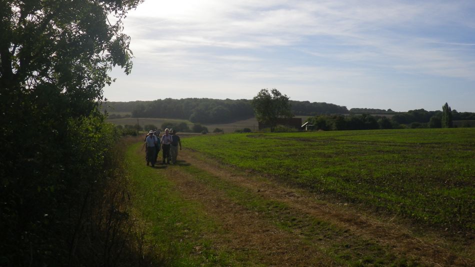 2016-09-28 09 Huntingfield Area.jpg