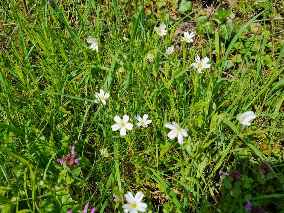 2023-05-03 01 Huntingfield.jpg