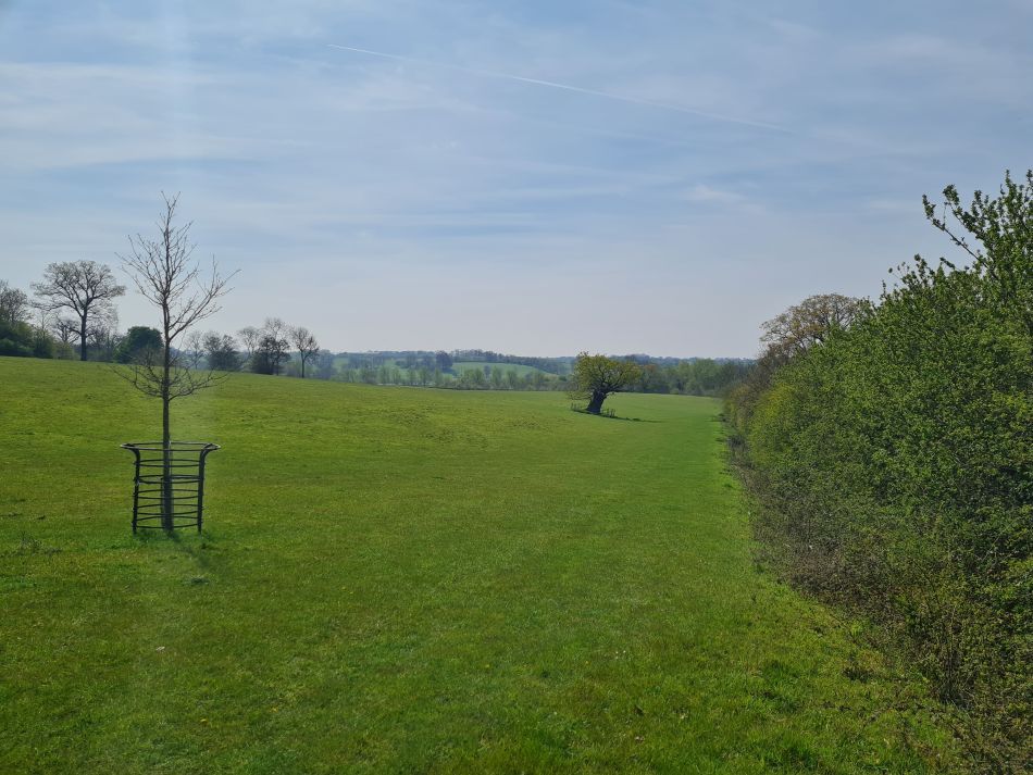 2023-05-03 09 Huntingfield.jpg