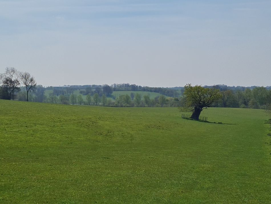 2023-05-03 10 Huntingfield.jpg