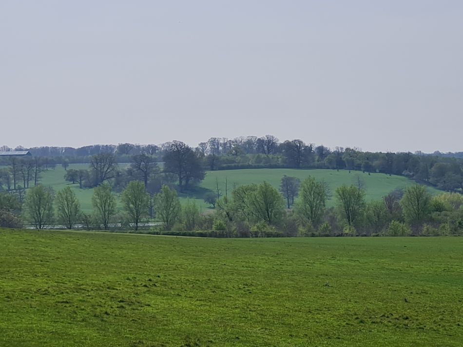 2023-05-03 11 Huntingfield.jpg