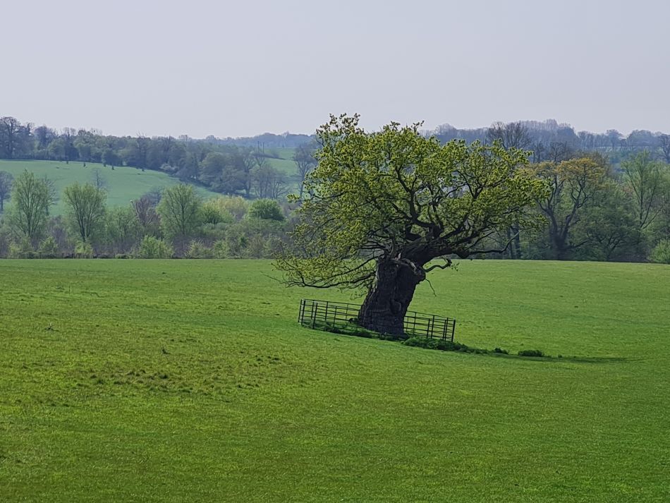 2023-05-03 12 Huntingfield.jpg