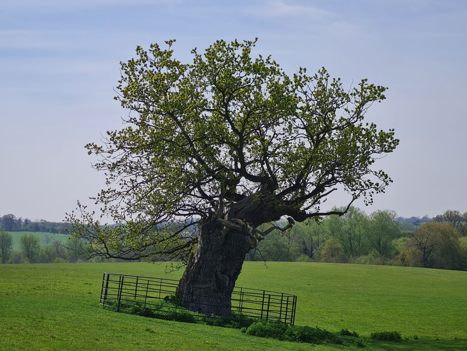 2023-05-03 14 Huntingfield.jpg