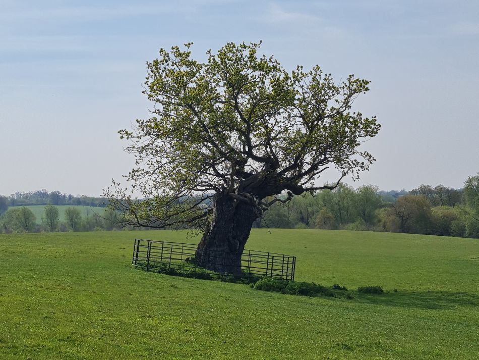 2023-05-03 15 Huntingfield.jpg