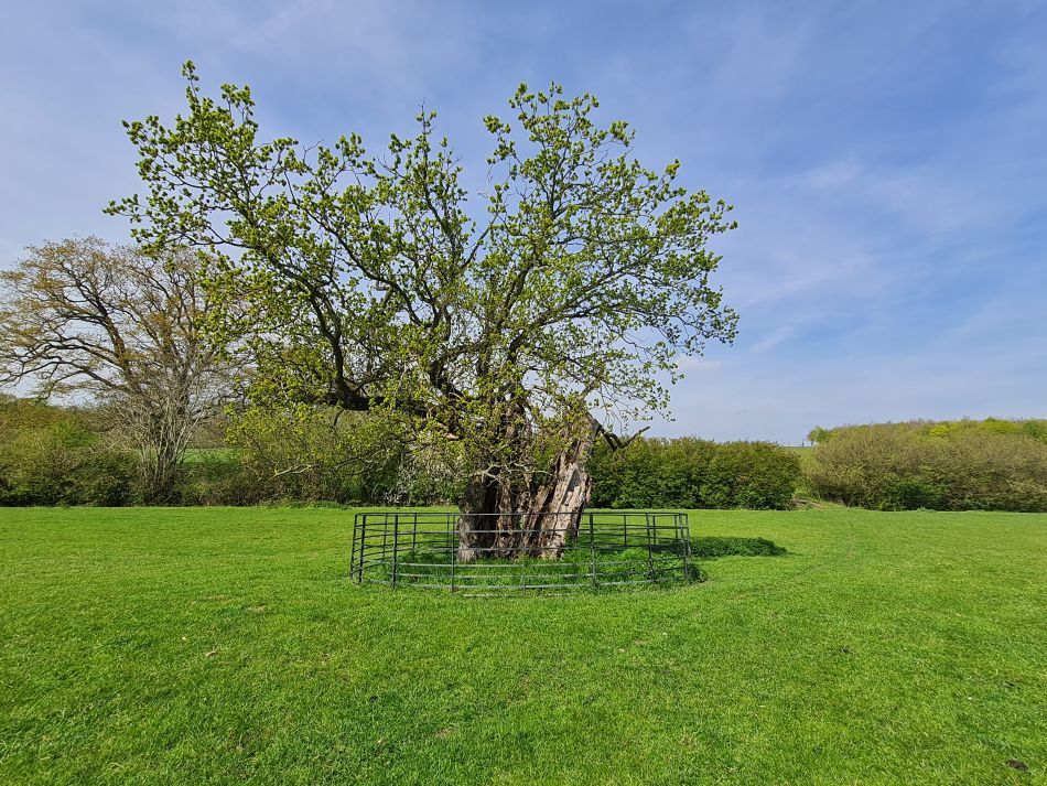 2023-05-03 17 Huntingfield.jpg