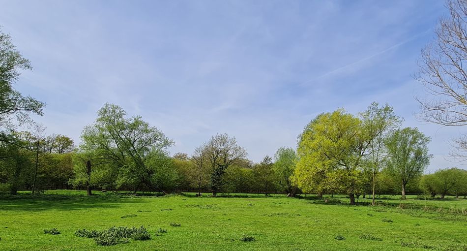 2023-05-03 21 Huntingfield.jpg