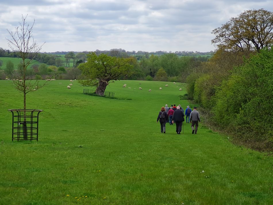 2023-05-03 26 Huntingfield.jpg