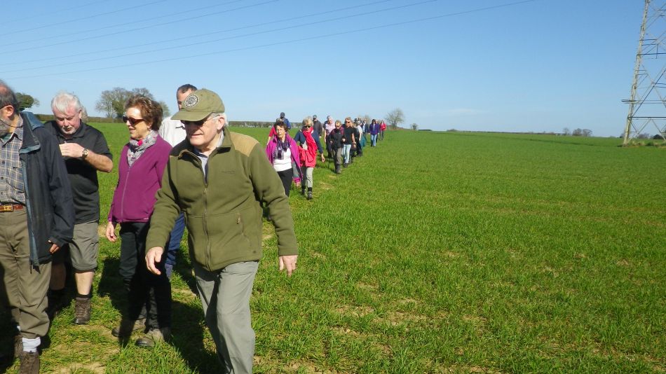 2017-03-15 01 Thurton Area.JPG