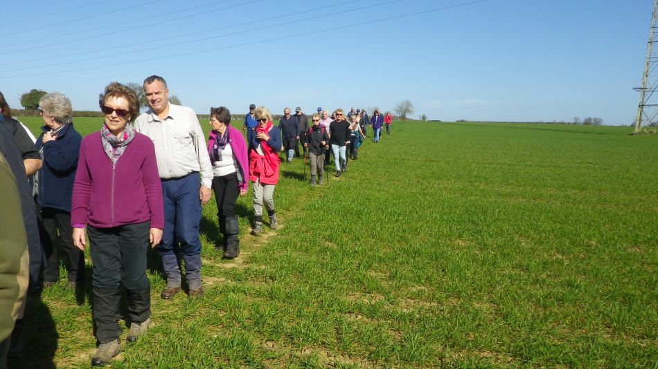 2017-03-15 02 Thurton Area.JPG