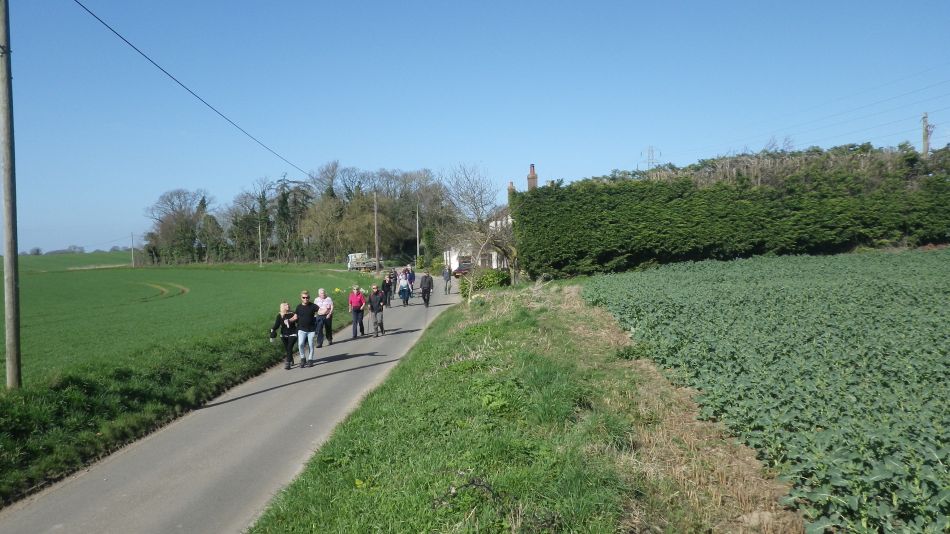 2017-03-15 04 Thurton Area.JPG