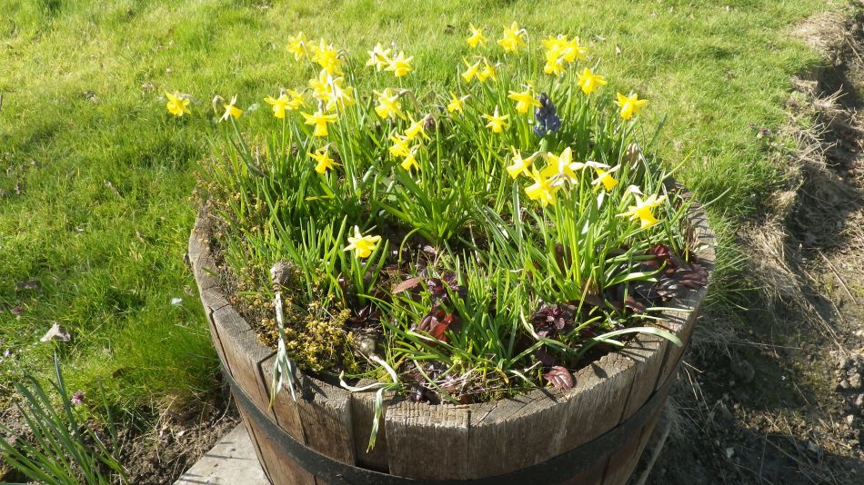 2017-03-15 05 Thurton Area.JPG