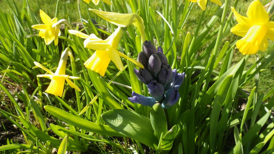 2017-03-15 06 Thurton Area.JPG