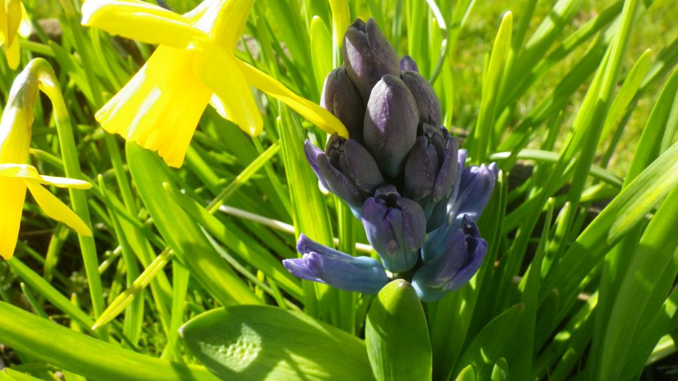 2017-03-15 07 Thurton Area.JPG