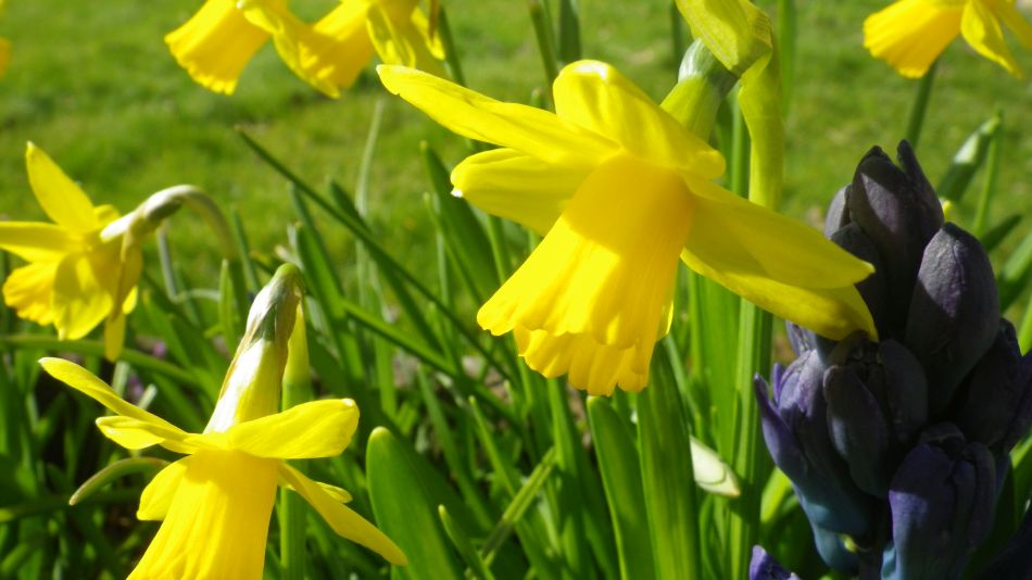 2017-03-15 08 Thurton Area.JPG