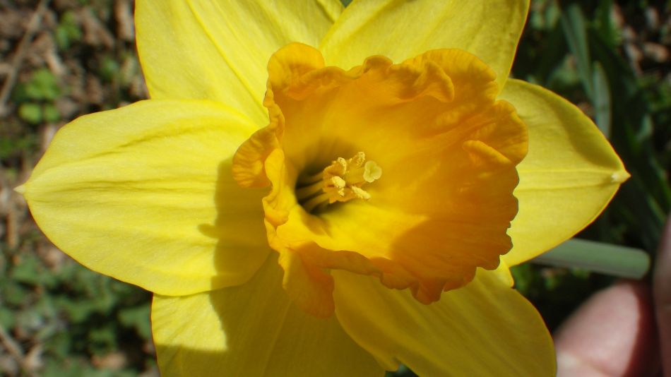 2017-03-15 15 Thurton Area.JPG