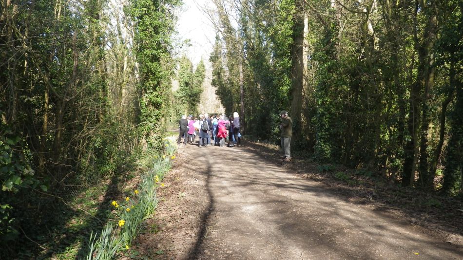 2017-03-15 16 Thurton Area.JPG