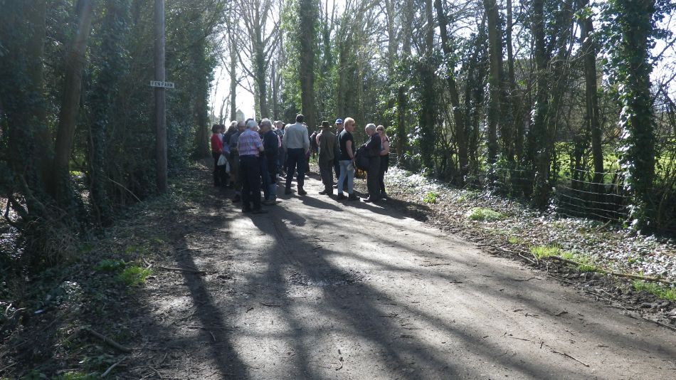 2017-03-15 17 Thurton Area.JPG