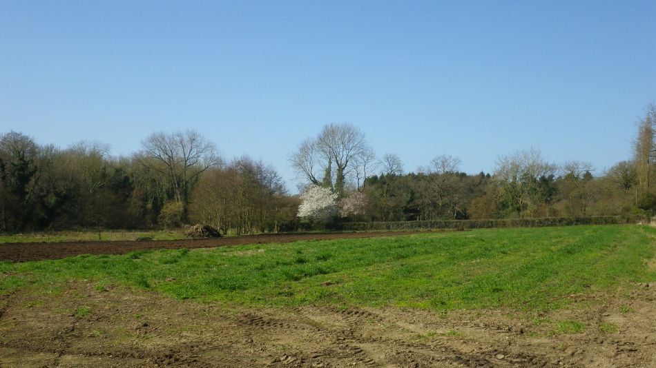 2017-03-15 21 Thurton Area.JPG