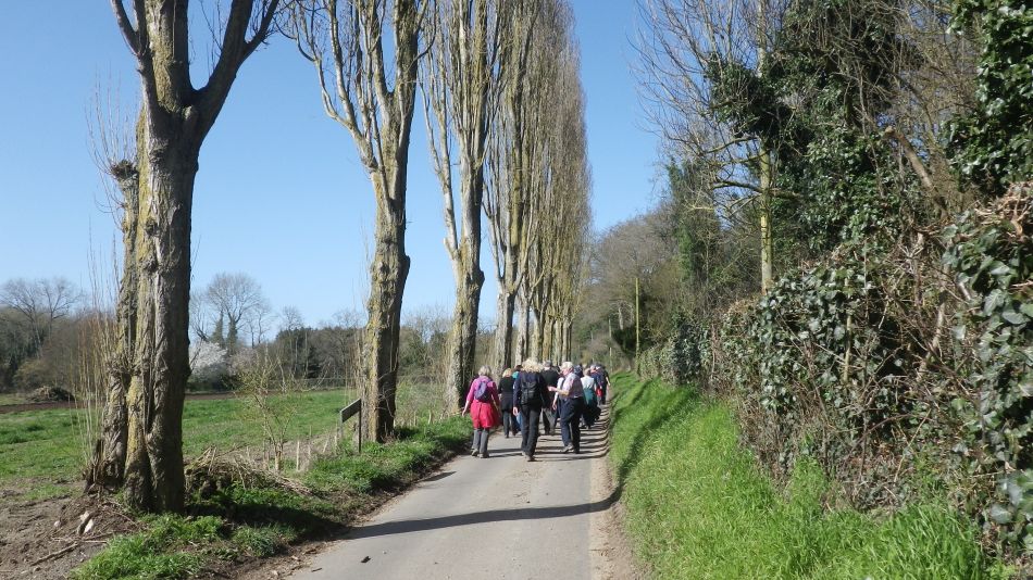 2017-03-15 22 Thurton Area.JPG