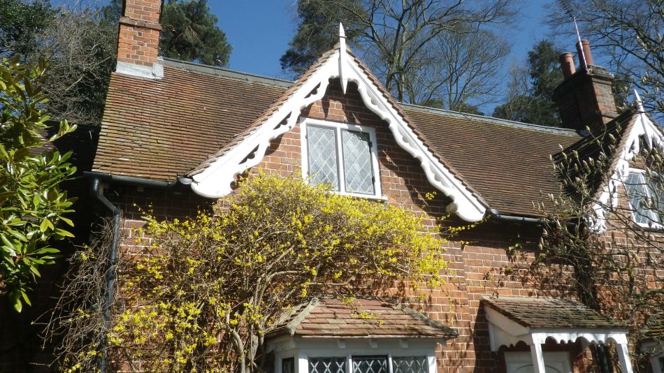 2017-03-15 24 Thurton Area.JPG