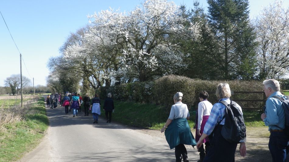 2017-03-15 31 Thurton Area.JPG