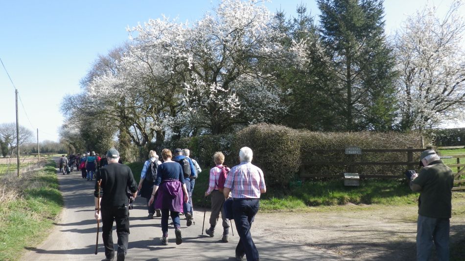 2017-03-15 32 Thurton Area.JPG