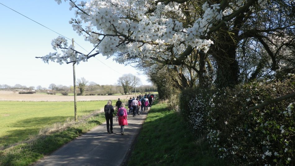 2017-03-15 33 Thurton Area.JPG