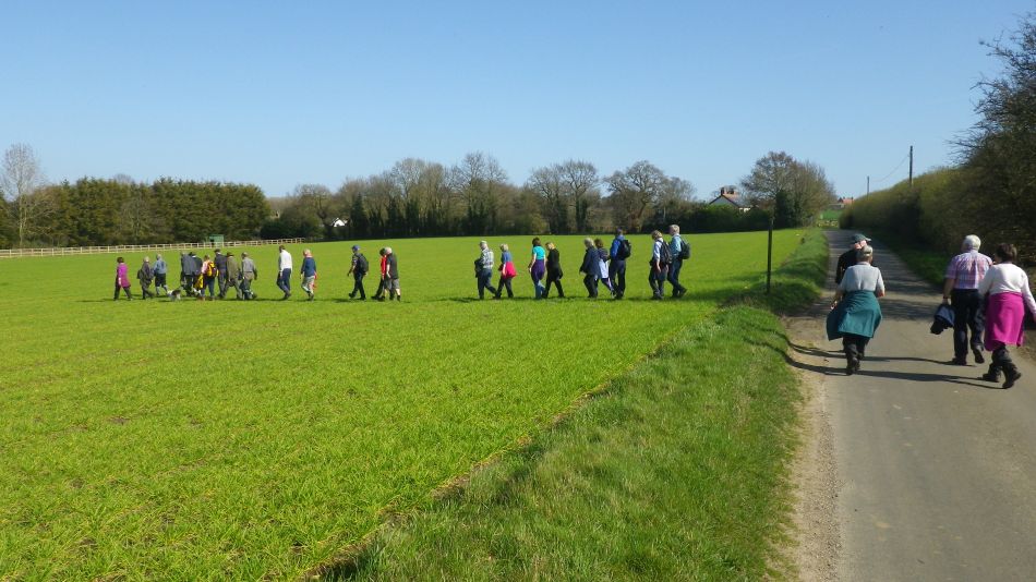 2017-03-15 34 Thurton Area.JPG