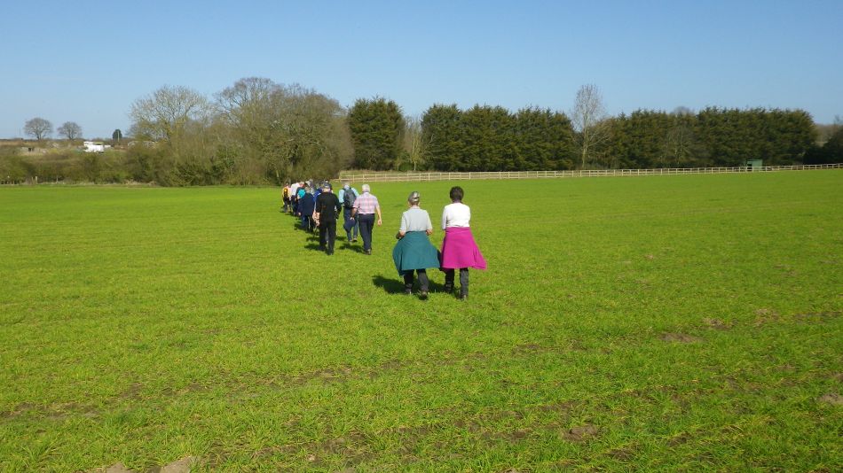 2017-03-15 35 Thurton Area.JPG