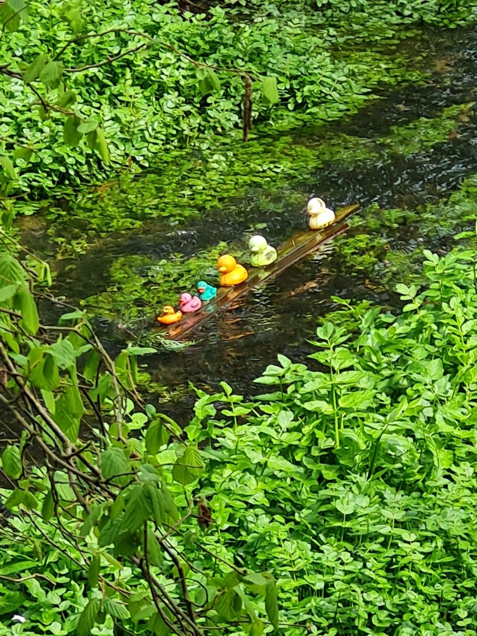 2024-04-26 08 Thurton.jpg