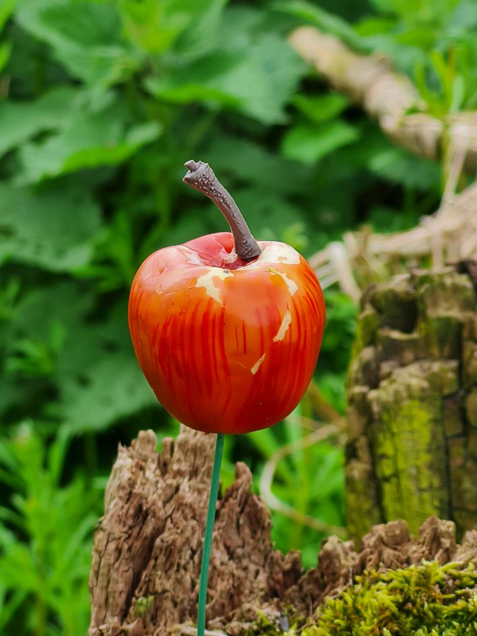 2024-04-26 09 Thurton.jpg