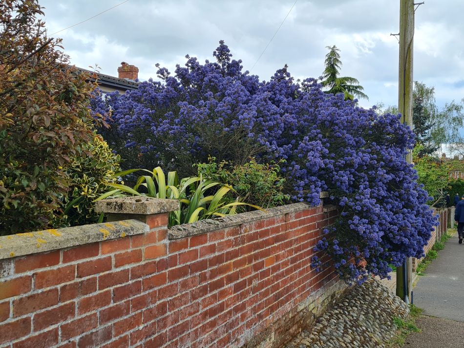 2024-04-26 14 Thurton.jpg