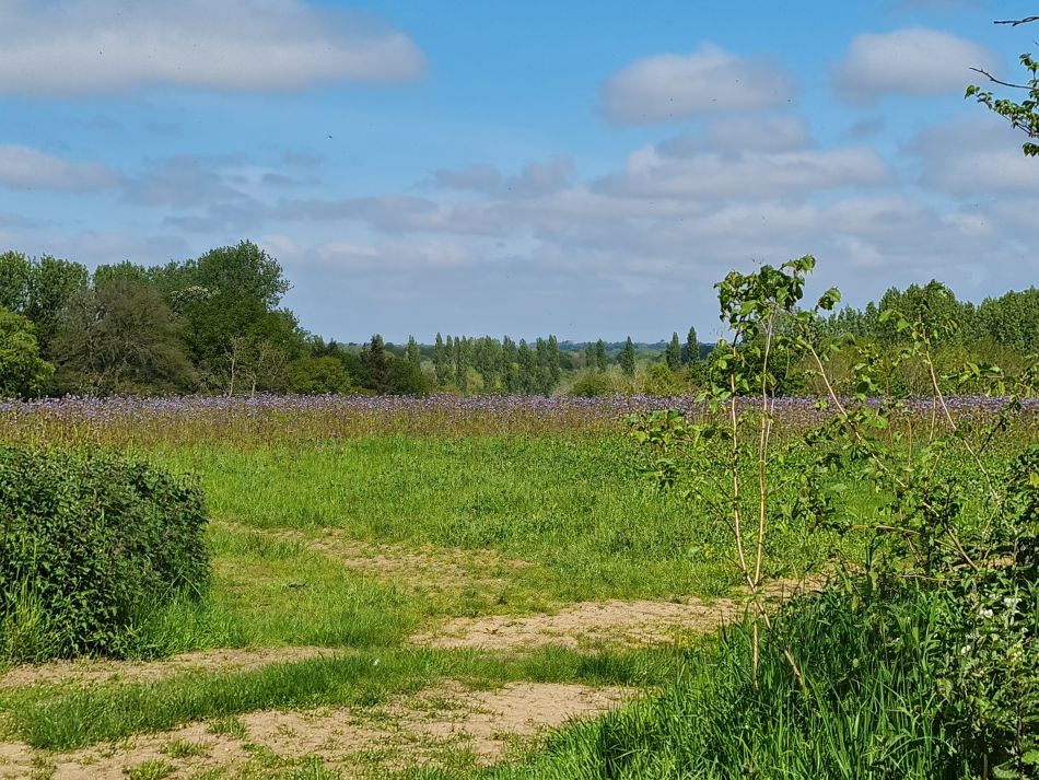 2024-05-08 02 Thurton.jpg