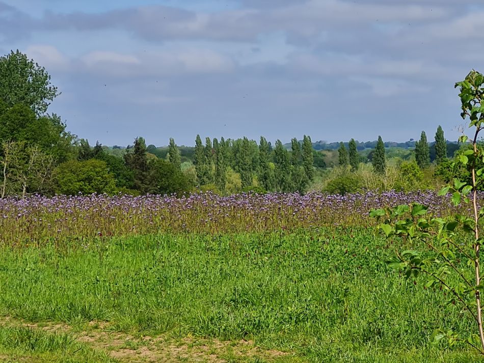 2024-05-08 03 Thurton.jpg