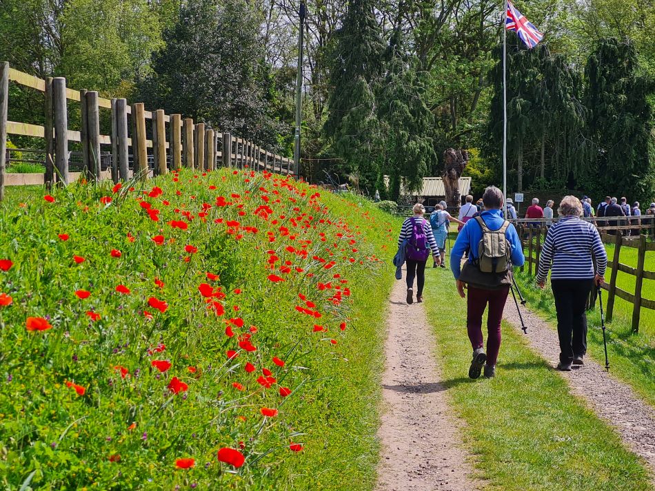 2024-05-08 05 Thurton.jpg