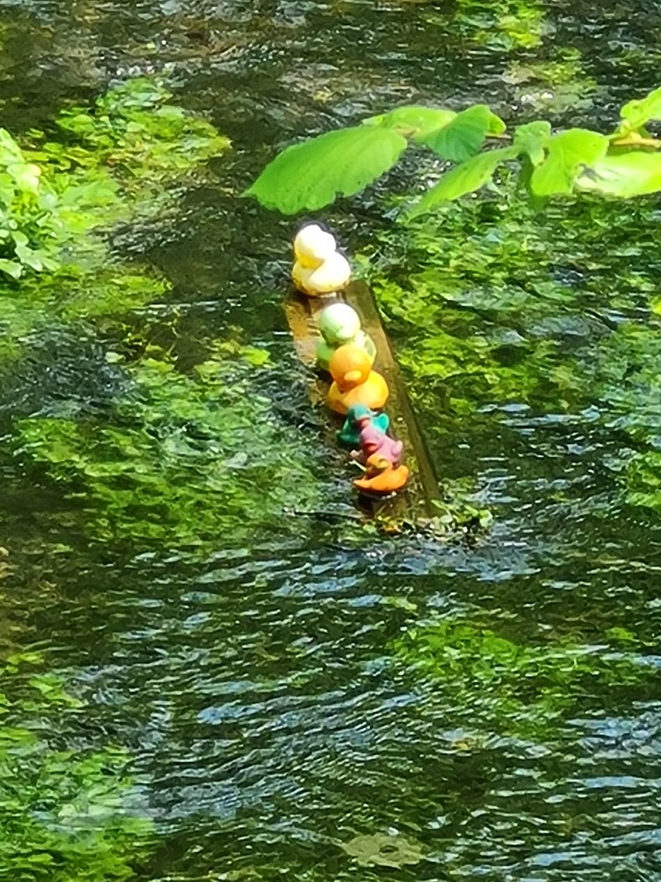 2024-05-08 07 Thurton.jpg