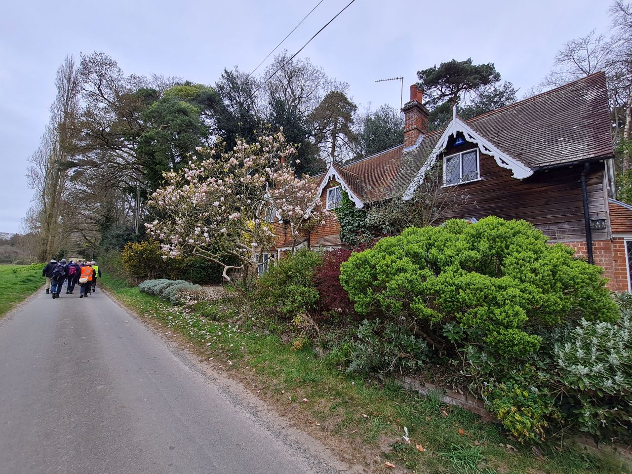 2025-04-09 03 Thurton and Bergh Apton.jpg