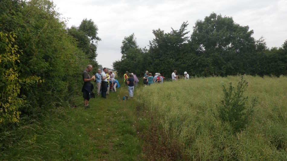 2017-06-22 04 Spexhall Walk.jpg