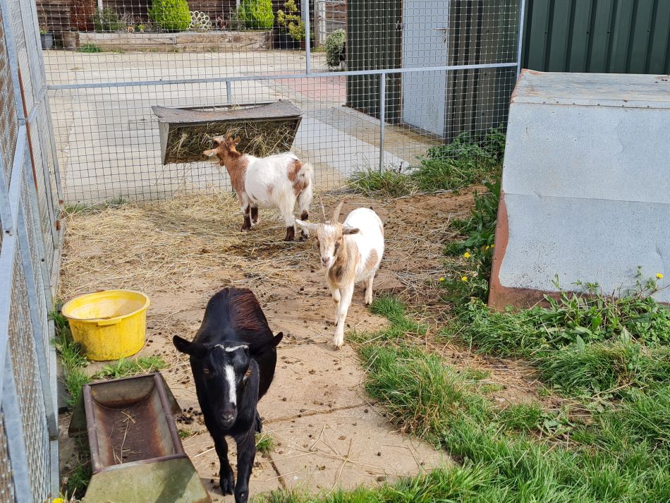 2023-10-11 11 Spexhall and Wissett.jpg