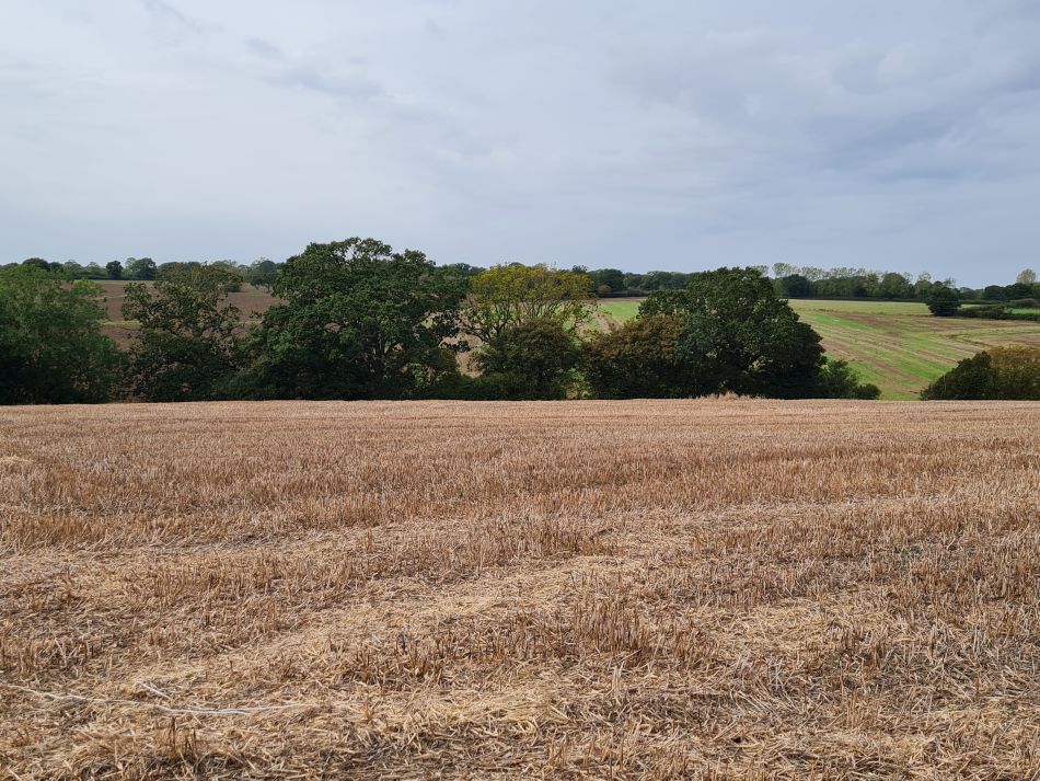 2023-10-11 16 Spexhall and Wissett.jpg