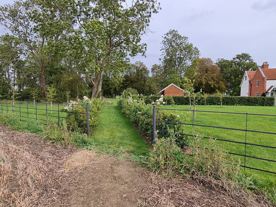 2023-10-11 17 Spexhall and Wissett.jpg