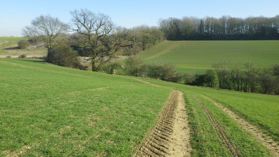 2019-02-25 03 Stradbrooke and Wingfield.JPG