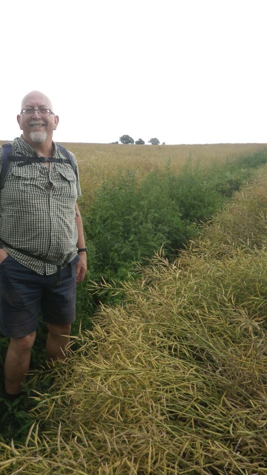 2019-07-14 15 Overgrown Path.jpg