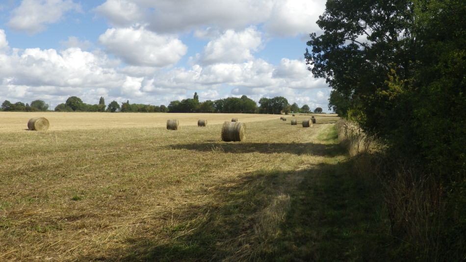 2019-09-01 03 Stradbroke and Wingfield.jpg