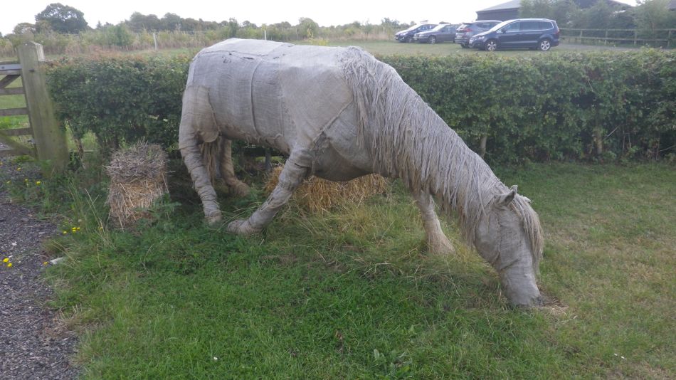 2019-09-01 17 Stradbroke and Wingfield.jpg